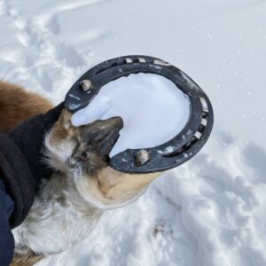 Eco-Friendly Hoof Snow Pellets Pads