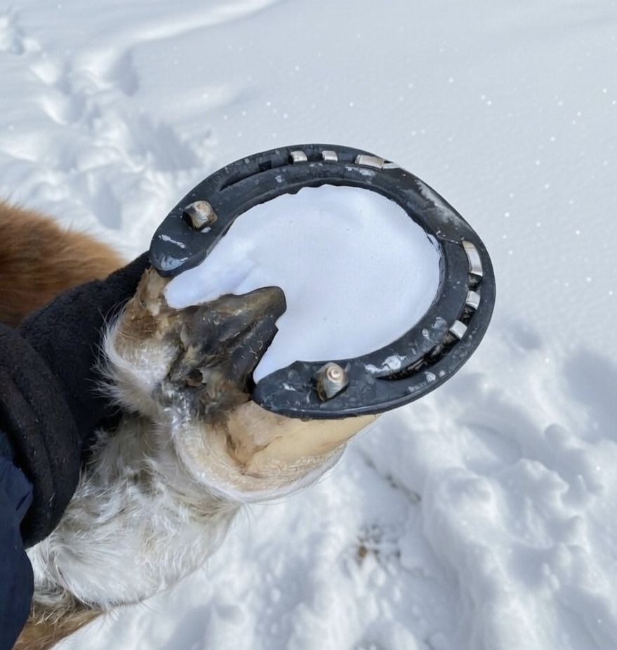 Eco-Friendly Hoof Snow Pellets Pads